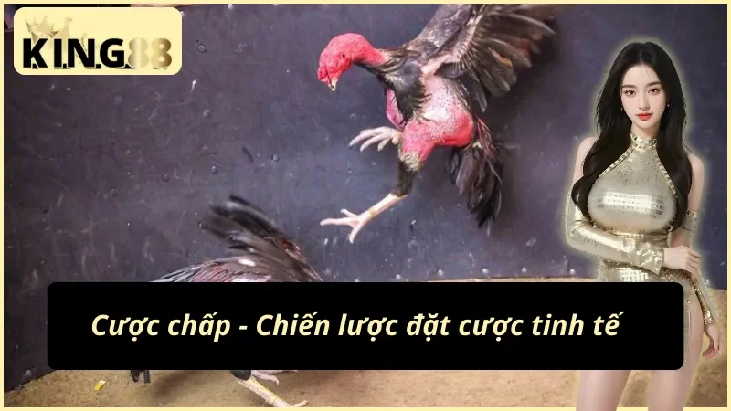 Trận đá gà cựa dao tốc độ tại đấu trường Philippines