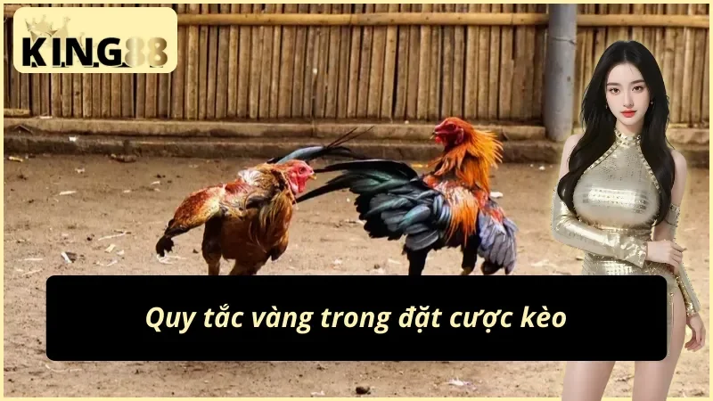 So sánh đá gà Philippines và đá gà Thomo Campuchia