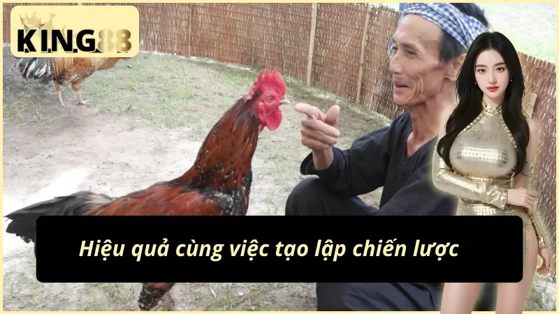 Kinh nghiệm cược đá gà Philippines cho người mới