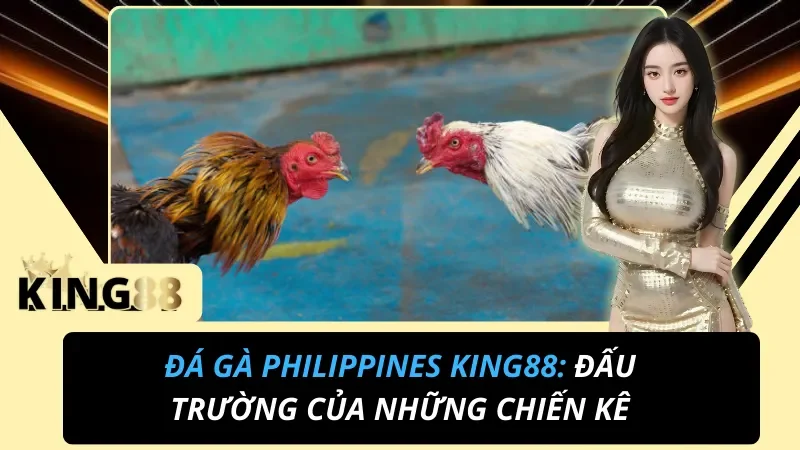 Đá Gà Philippines King88 – Sabong Đấu Trường Quốc Tế Hot Hit 2026