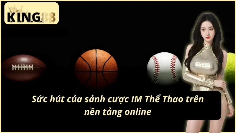 Giới thiệu nhà cung cấp IM Sports